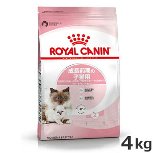 CJi }U[xr[Lbg 4kg O̎qLp