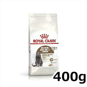 CJi GCWO XeACYh 12+ 400giDEő₷Lpt[h Lpj