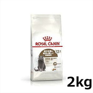 CJi GCWO XeACYh 12+ 2kgiDEő₷Lpt[h Lpj