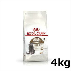 CJi GCWO XeACYh 12+ 4kgiDEő₷Lpt[h Lpj