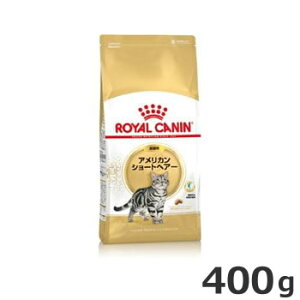 ロイヤルカナン アメリカン ショートヘアー 成猫用 400g