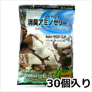 tWR ChJbvLA~m[[30 16g×30