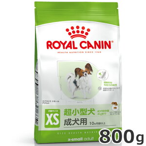 CJi GNXg X[ A_g 800gi^pt[h pj