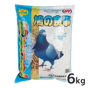 NPF GNZ ̐H 6kg  t[h GT