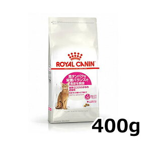 CJi veC GNVWFg 400gi^pNȉh{oXɂLpt[h Lpj