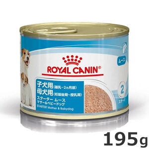 CJi X^[^[ [X }U[xr[hbO 195giqpEFbgt[h `2J܂/ꌢp DP`j