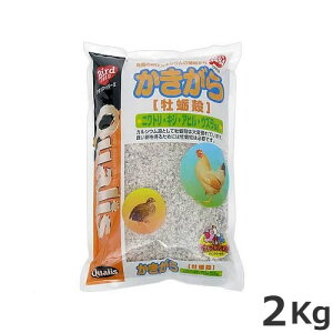 ybcCVoV NIX  yk 2kg Ƌחp  t[h