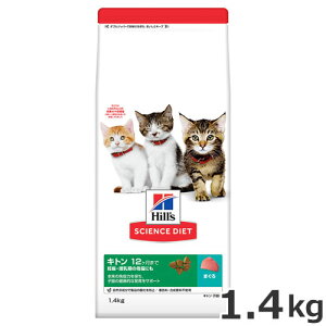 qY TCGX_CGbg Lg 12܂ Lp qLp/DPE̕Lɂ ܂ 1.4kg Lbgt[h hC