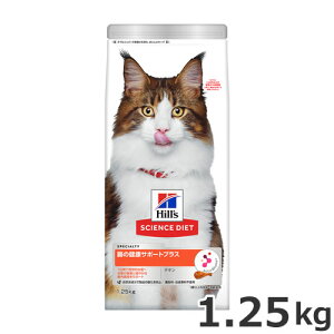 qY TCGXE_CGbg ̌NT|[gvX 1Έȏ̐LELp `L 1.25kg Lbgt[h hC