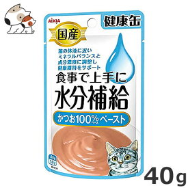 ★【今月のお買い得商品】アイシア 健康缶パウチ 食事で上手に水分補給 かつお100％ベースペースト 40g