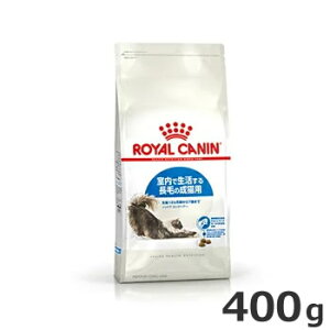 CJi ChA OwA[ 400giŐ钷т̔Lpt[h Lpj