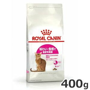 CJi ZCo[ GNVWFg 400g Hɂ肪鐬Lp