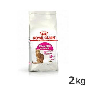 CJi ZCo[ GNVWFg 2kgi킢EHɂLpt[h Lpj