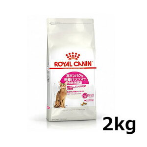 CJi veC GNVWFg 2kgi^pNȉh{oXɂLpt[h Lpj