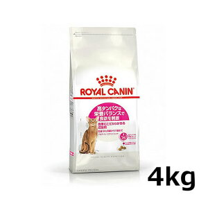 CJi veC GNVWFg 4kgi^pNȉh{oXɂLpt[h Lpj