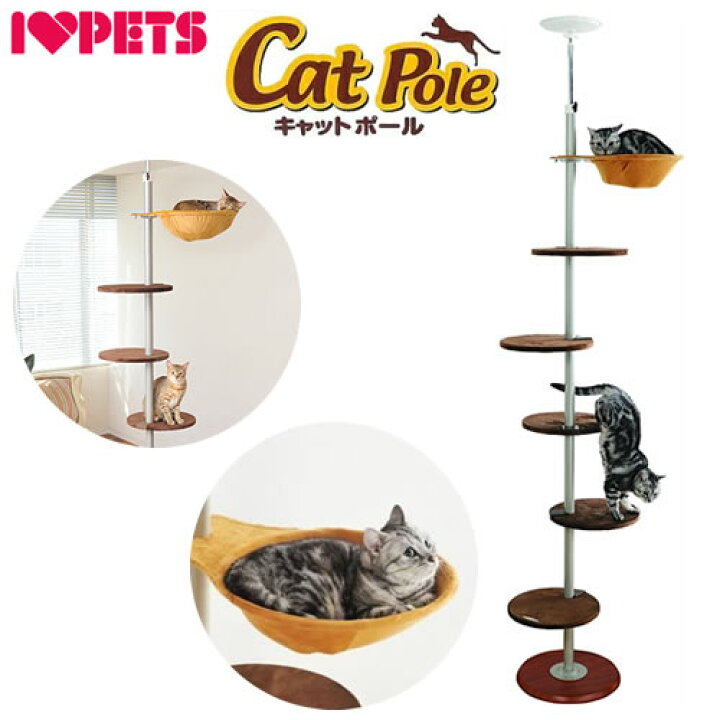 楽天市場】○ボンビアルコン キャットポール 猫用 キャットタワー 