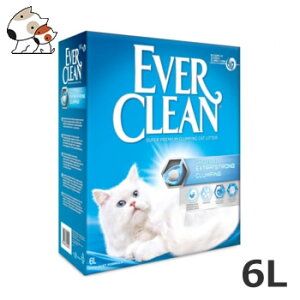 Go[N[ ^Cv 6L 1ll2܂