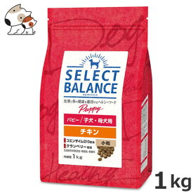 ベッツ・チョイス セレクトバランス パピー チキン小粒 1kg