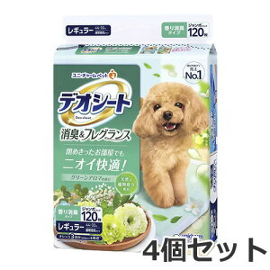 4Zbg j`[ fIV[g LtOX O[A}̍ M[ 120×4Zbg p ybgV[c