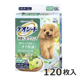 j`[ fIV[g LtOX O[A}̍ M[ 120 p ybgV[c