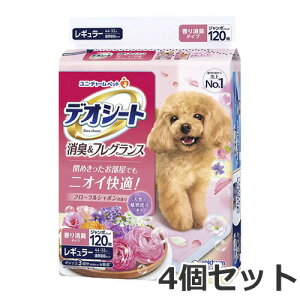 4Zbg j`[ fIV[g LtOX t[V{̍ M[ 120×4Zbg p ybgV[c