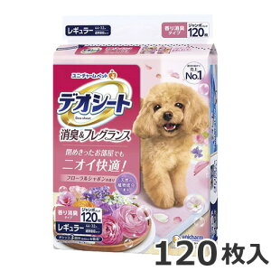 j`[ fIV[g LtOX t[V{̍ M[ 120 p ybgV[c