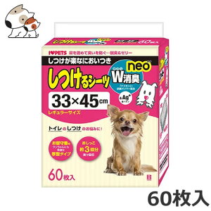 {rAR V[c WL neo M[TCY 60 1ll6܂