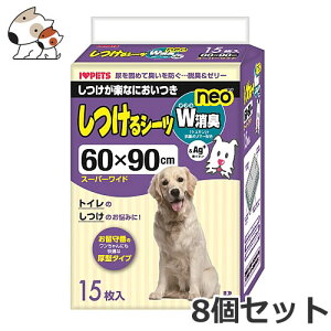 {rAR V[c WL neo X[p[ChTCY 15×8Zbg