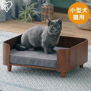 ACXI[} PLYWOOD vCEbh XNGAybgxbh EH[ibg ؐ ybgpxbh ^p Lp ʔN 