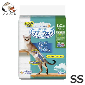 j`[ ybgPA }i[EFA ˂p Lpނ 16 SSTCY