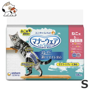 j`[ ybgPA }i[EFA ˂p Lpނ STCY 38