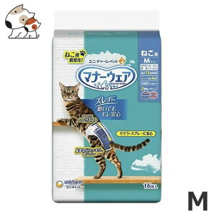 j`[ ybgPA }i[EFA ˂p Lpނ 16 MTCY