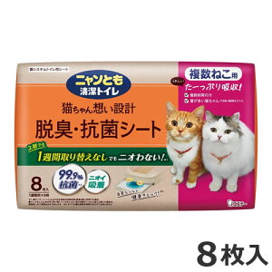 GXe[ jƂgC ELER V[g ˂p 8 VXegCpV[g LgC L