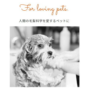 楽天市場 ハイアスピレーション Lohas Lino ロハスリノ シャンプー 700ml 犬用 猫用 あす楽 年中無休 ペッツマム