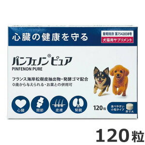 y[ցzg[X ptFm sA 120 LpTvg VjA  L Nێ T|[g 񕜃PA  