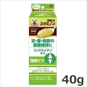 A[XEoCIP~J `CXvX X^~m ֐߃PA 40g