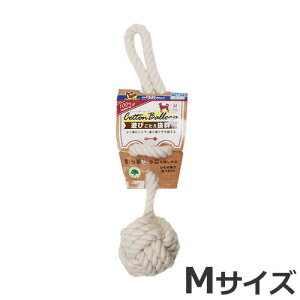 hM[}nV Rbg{[[v MTCY   f^PA  ^