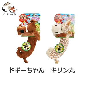 hM[}nV Aj}܂ hM[ ʂ NbV