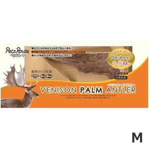 ybc[g xj\p[Ag[ tbg^Cv ChM p p ^ ^