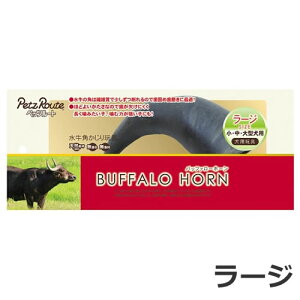 ybc[g obt@[z[ [W ̊p p ^`^p