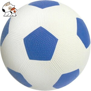 X[p[Lbg TbJ[ u[/sN 1R@p