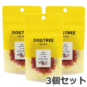 y[ցz3Zbg DOGTREE hbOc[ ĕv`XN  20g×3Zbg p Y Y 