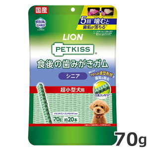 CI PETKISS ybgLbX H݂̎K VjA ^p 20{ Y p f^PA