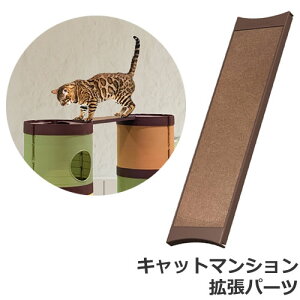 LeB[} CAT MANSiON Lbg}V 󒆎U XJCubW Lp Lbg}VpgACe g Hsv