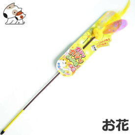 楽天市場 猫じゃらし 花の通販
