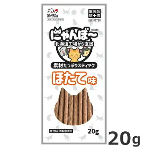 GPS fނՂXeBbN ɂځ` قĖ 20g L  Lp