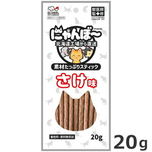 GPS fނՂXeBbN ɂځ`  20g L  Lp