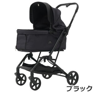 K[R[|[V ROYAL TAILS Florence CeCY t[X ubN/x[W/AC{[/J[L ybgJ[g o Lp [J[