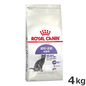 CJi XeACYh 4kgiDEő₷Lpt[h Lpj