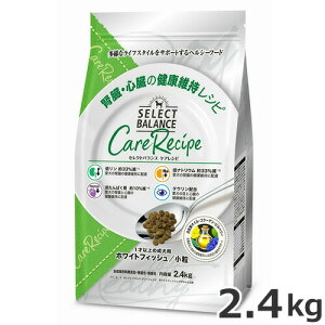 xbcE`CX ZNgoX PAVs zCgtBbV  tŠNێVs 1ˈȏ̐p 2.4kg